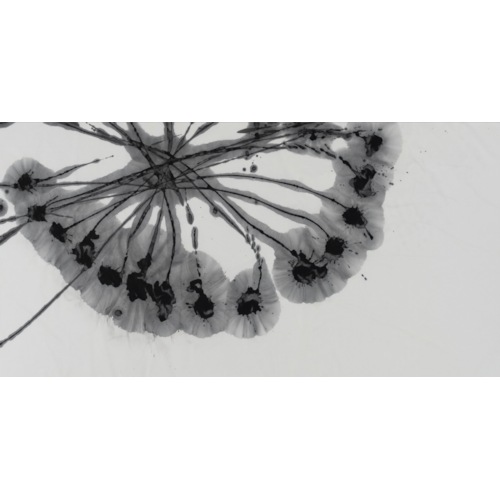 Correlation2024 -vector- #2